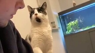 请问可以碰一下头吗？