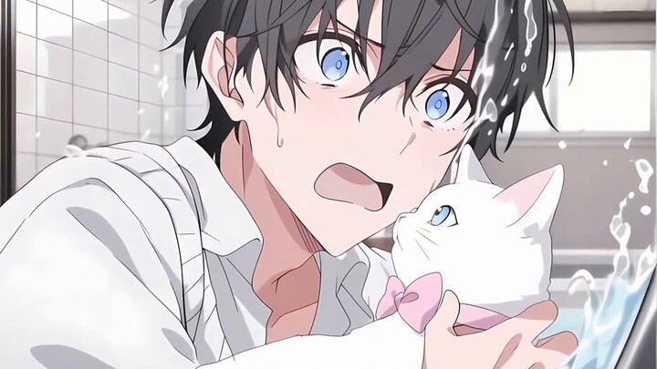 คุณหญิงคนโตของวงปักกิ่งกลายร่างเป็นแมวและเริ่มต้นชีวิตใหม่