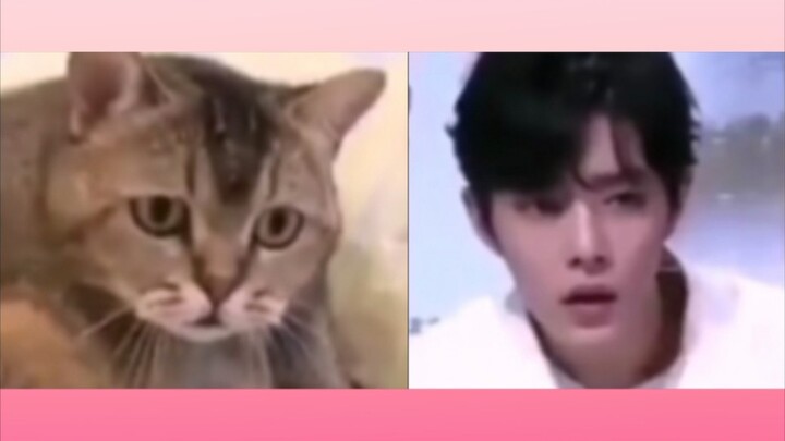 [Xiao Zhan] On the compatibility of Xiao Zhan and sand sculptures (what a good fool, but unfortunate