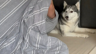 A pillow with a built-in alarm clock—bring it on!