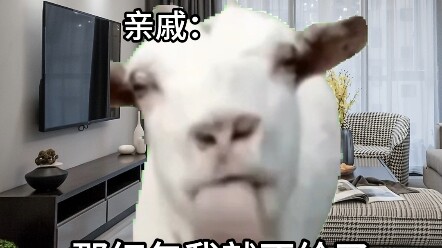 【ชื่อเล่น จินหนานฉู่】อัปเดตแล้ว มาดูกันเลย!