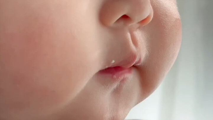 I used to have a little cutie like this, and now I get 6 points in math.