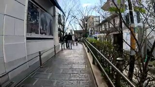 【Harajuku Walk】Tokyo’s Youth Culture & Quiet Streets｜A Stroll Through Contrast and Style【4K・BGV】