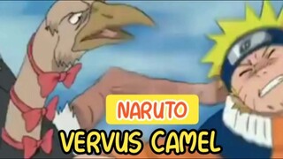 NARUTO VERSUS CAMEL by.Naruto