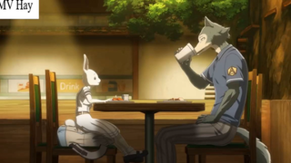 Học Chung Trường , Tôi Lỡ Yêu Em Con Mồi Của Mình - Review Phim Anime Hay #6