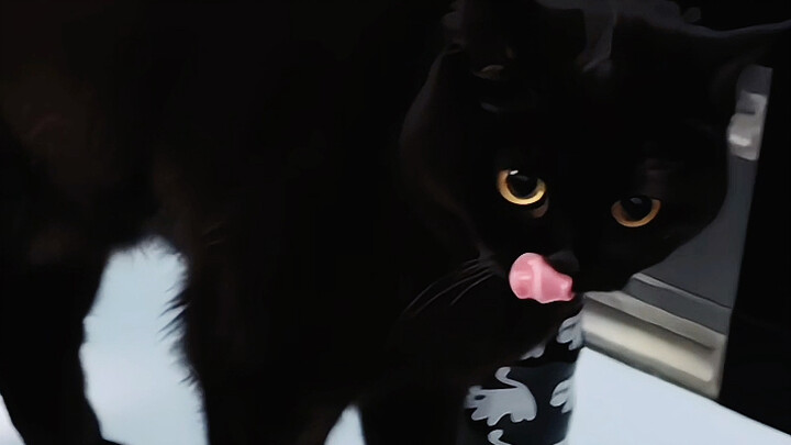 หน้าตาน่ารักแค่ไหนก็ไม่หยุดทำตัวเพี้ยนได้หรอก