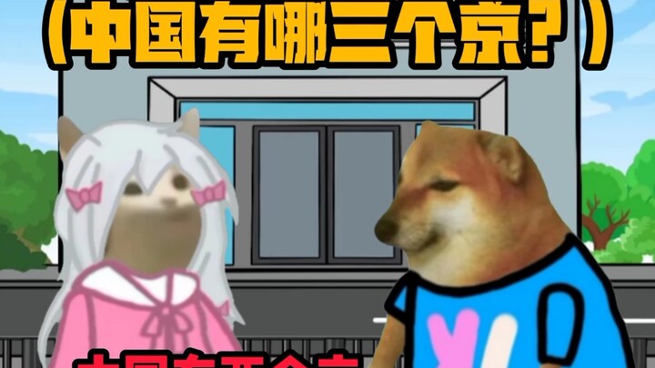 《Panggung Kecil Cheems》