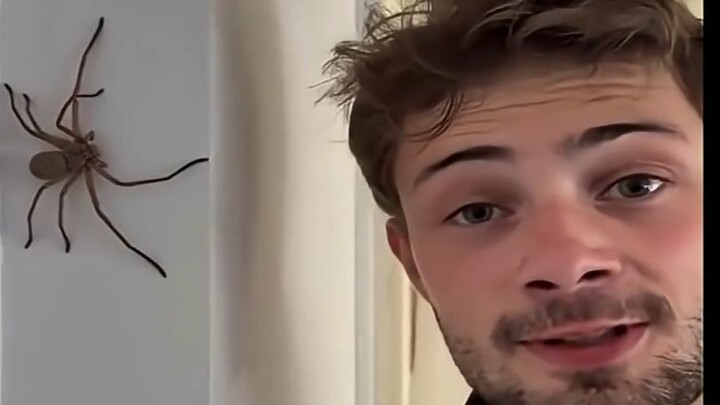 Tempat di Australia ini memang punya cerita sendiri...