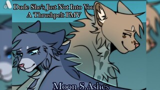 Dude She’s Just Not Into You || Warrior Cats PMV