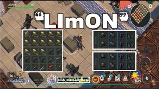 "LImON" |13 guns + more than 500+ MIDKETS/LOTS OF SWAT ARMORS - Last Day On Earth: Survival