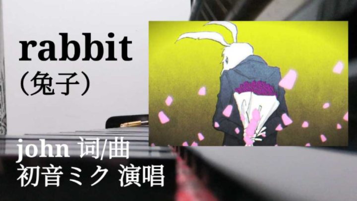 【钢琴翻弹】rabbit（兔子）