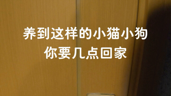 Kittens and puppies: “Dad, are you crazy? Is this gun yours just because you picked it up??”