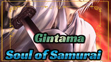 Gintama|【AMV】The Soul of Samurai never dies