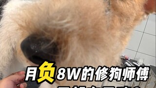 Trải nghiệm chân thực một ngày của thợ sửa chó nợ 80 nghìn tệ mỗi tháng!