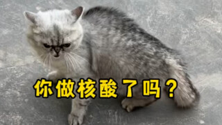 你做核酸了吗？抓你去隔离！