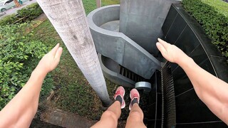 妈妈让我多运动，我照做了，可还是奖励我七匹狼一条！