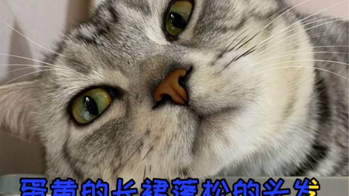 When the cat hears a breathtaking rap…