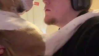 المالك الهزلي يقلد كل حركة وكلمة للكلب، وفي النهاية لم يستطع حقًا أن يبتلعها...