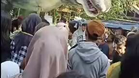 pesta adat