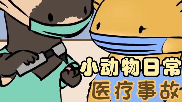 医疗事故🫘🦘👶-【小动物日常 | Natural Habitat Shorts】中英双字