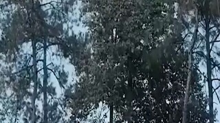 [heart system] nag time travel sa mahirap na panahon sa panahon nang taggutom