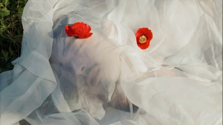 【مثل طائر هانلين الذي يعيش في عش واحد ليوم واحد فقط، ومثل سمكة النهر التي تسبح جنبًا إلى جنب ثم تنفص