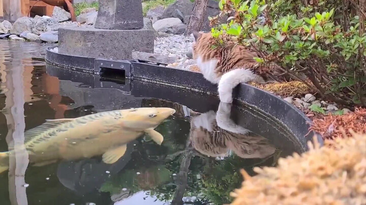 Animals are born with an innate sense of curiosity—even when they’re natural predators.