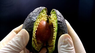 San Mao gets challenged: We dare you to carve an avocado! San Mao: Bring it on!