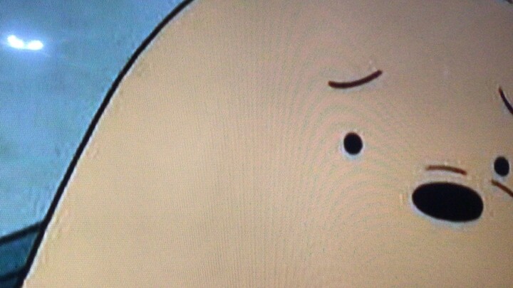 หมีเเบเเบ