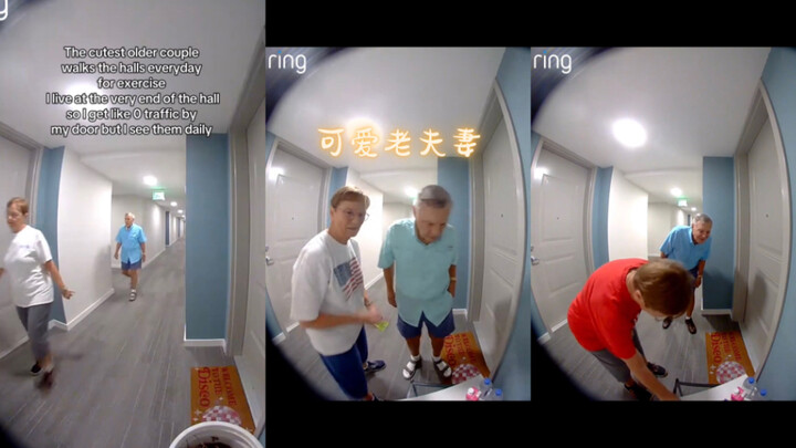 زوجان عجوزان لطيفان جدًا 🥰💗