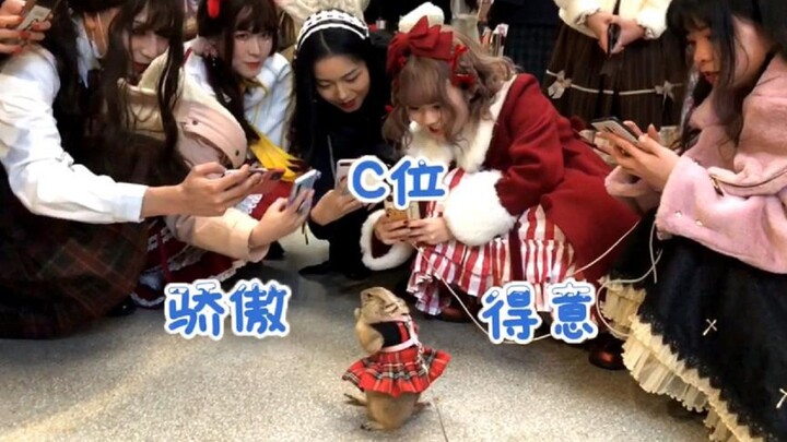 A marmot in a Lolita dress takes center stage on the street, drawing a crowd of adorable Lolita girl
