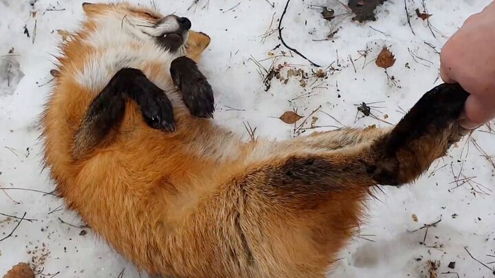 Stop sleeping—wake up! Wake up now! How can you even sleep at your age?