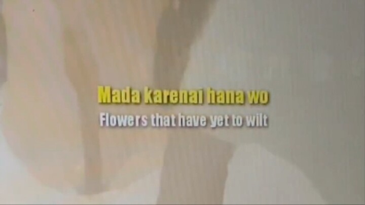 Dried Flower ~ Yuuri