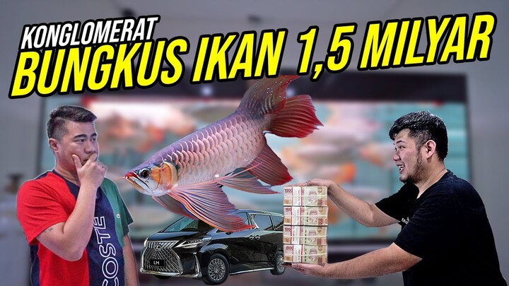 SAKIT JIWA!!! BELI IKAN TERMAHAL DI INDONESIA!!! - HARGA MILYARAN CUMA DAPET 1 IKAN!!!