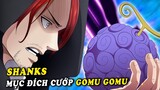 Mục đích Shanks cướp trái Gomu Gomu , Trái ác quỷ cao su của Joy Boy - ( One Piece 1017+ )