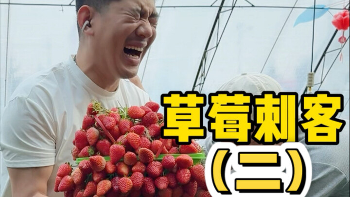 草莓刺客（二）