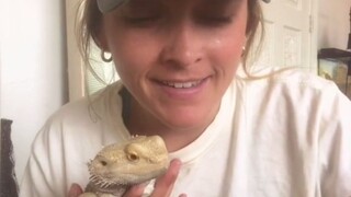 小姐姐让蜥蜴试吃芒果，没想到它尝了一口就彻底爱上了