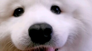 I'm cute and smart, okay?