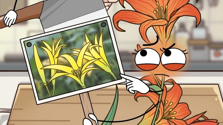 Daylily menjadi “sayuran”? Dashen mencampur bakti putranya ke dalam mangkuk