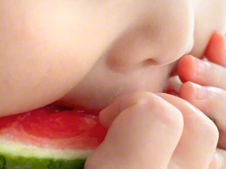 Chomp chomp—eating watermelon~