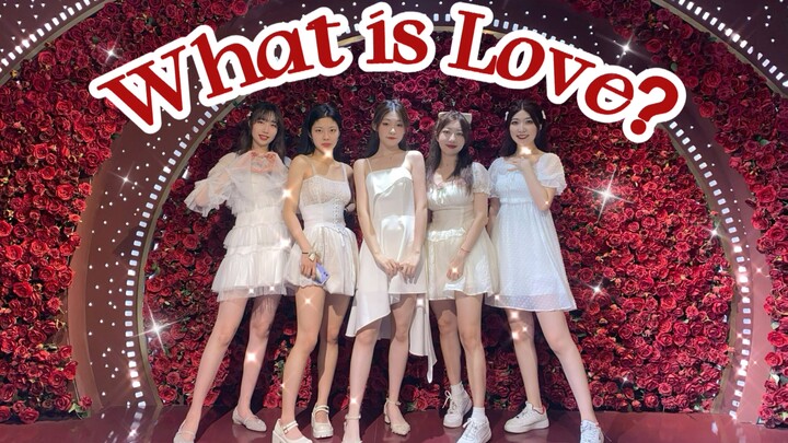 【Twice】Tình yêu và đám cưới hòa hợp với nhau như thế nào? ! ! Các phù dâu cùng bạn bè bắt tay nhau đ