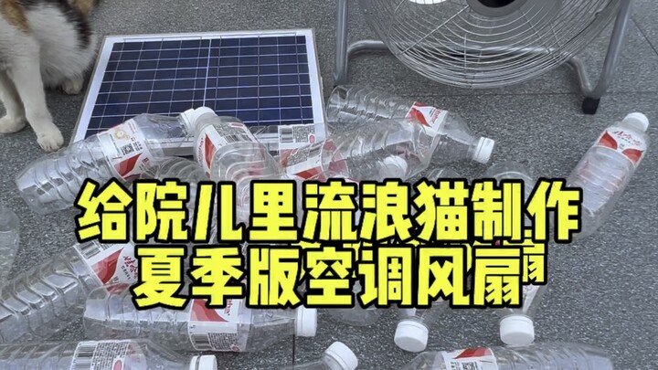 Cuaca kian panas, bikin “kipas pendingin” untuk kucing jalanan pakai botol air mineral!