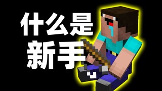什么是新手？我说...