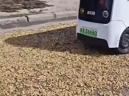 在钢铁意志面前毫无感情可言；在绝对的规则之下，没有人情世故