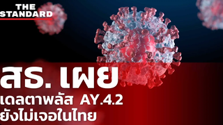 สธ แจงสถานการณ์โควิดกลายพันธุ์ ‘อัลฟาพลัส’ และ ‘เดลตาพลัส’