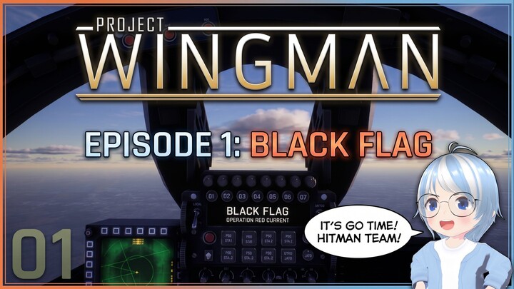 A New Pilot Takes the Skies! 🛩️ | Project Wingman Ep. 1