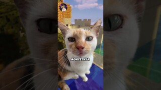 Coba Kamu Tahan Tawa, Bisa Gak? (Part 10) #shorts