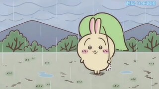 乌萨奇怪叫一分钟纯享版