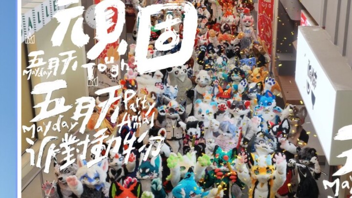 "Party Animal" dari "Keras Kepala"