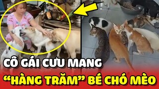 Câu chuyện về cô gái CƯU MANG hàng trăm bé Chó Mèo hoang ❤ | Yêu Lu